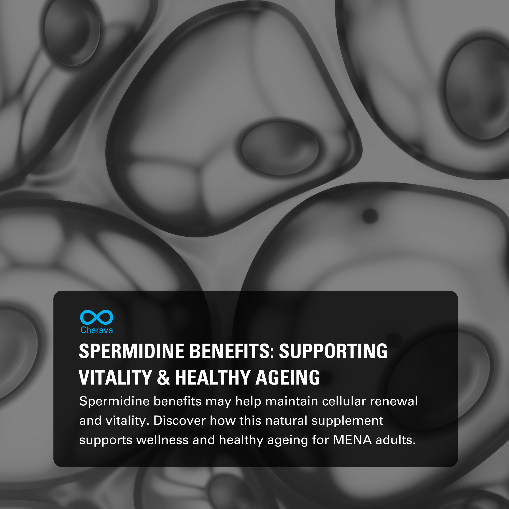 Spermidine for MENA Adults: Key Benefits, Wellness & Safe Use Tips - Charava MENA