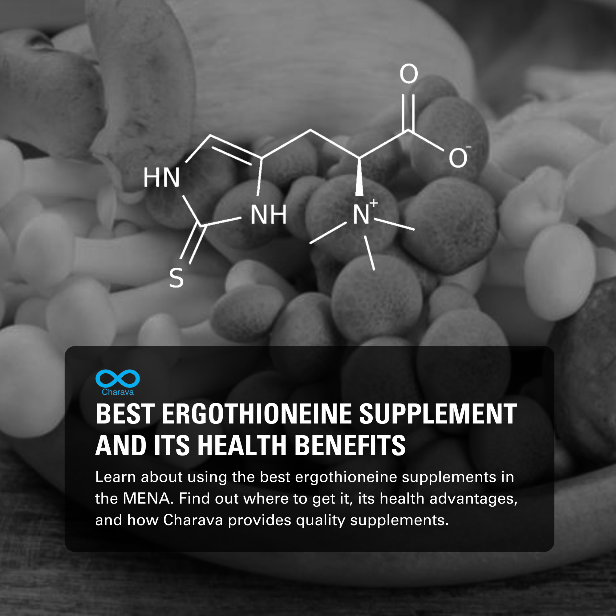 Best Ergothioneine Supplement in MENA: Where to Buy | Charava MENA