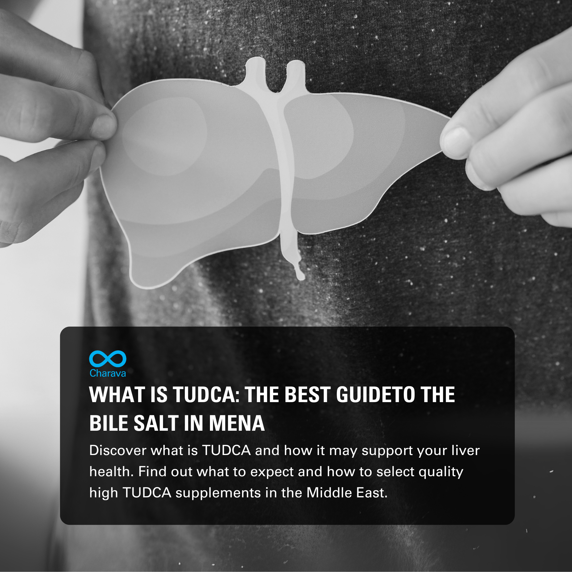What is TUDCA: An Essential Guide for MENA to the Powerful Bile Salt - Charava MENA