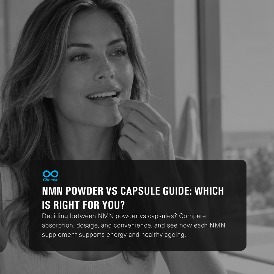 NMN Powder vs Capsules