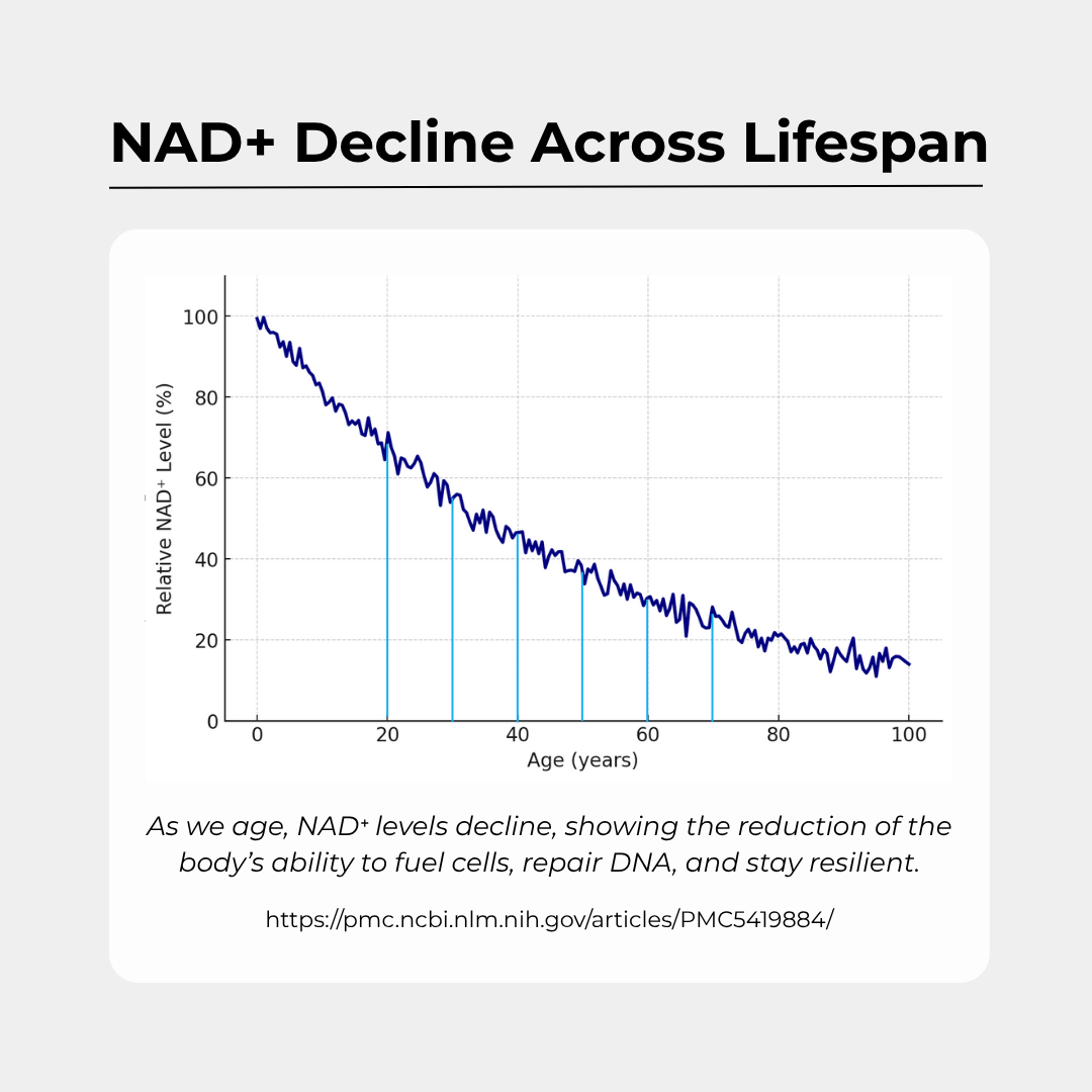 NMN+1200 (NMN, Resveratrol, Pterostilbene)